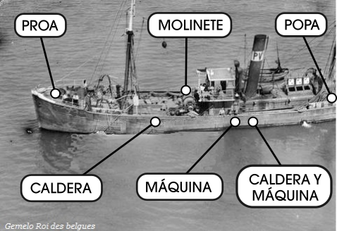 Vídeos del Roi des belgues